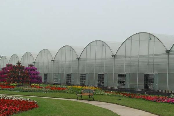 無土栽培，無土栽培技術，無土栽培設備