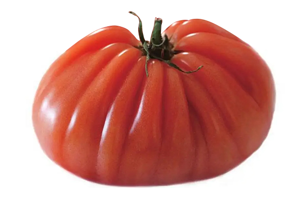 無土栽培，無土栽培技術，無土栽培設備