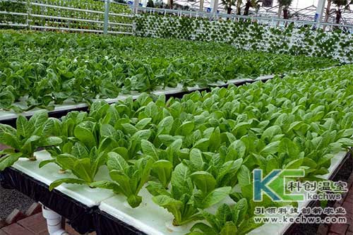 無土栽培，無土栽培技術，無土栽培設備
