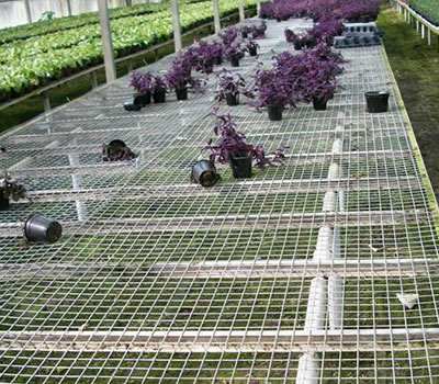 無土栽培，無土栽培技術(shù)，無土栽培設(shè)備