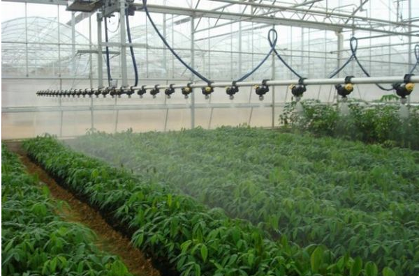 無土栽培,無土栽培技術(shù),無土栽培設(shè)備