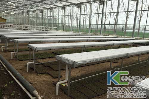 無土栽培，無土栽培技術，無土栽培設備