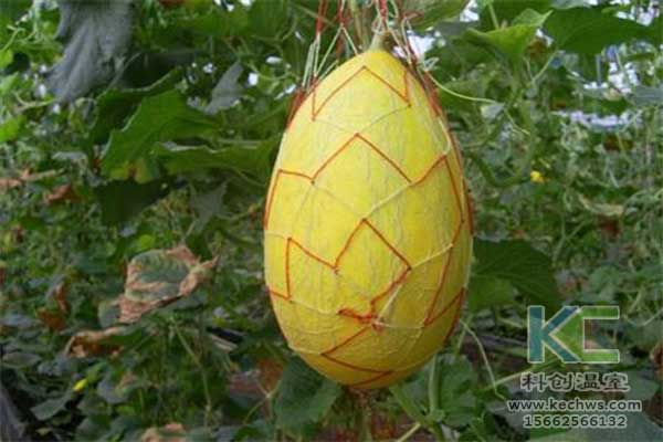 無土栽培，無土栽培技術，無土栽培設備