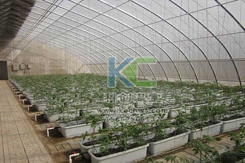 無土栽培，無土栽培技術，無土栽培設備