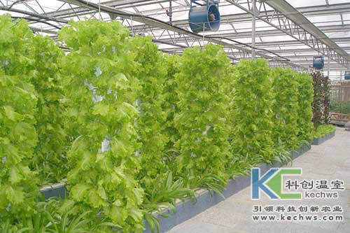 無土栽培，無土栽培技術，無土栽培設備