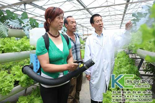 無土栽培，無土栽培技術(shù)，無土栽培設(shè)備