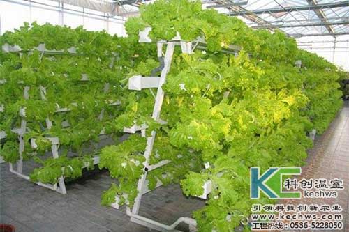 無土栽培，無土栽培技術，無土栽培設備