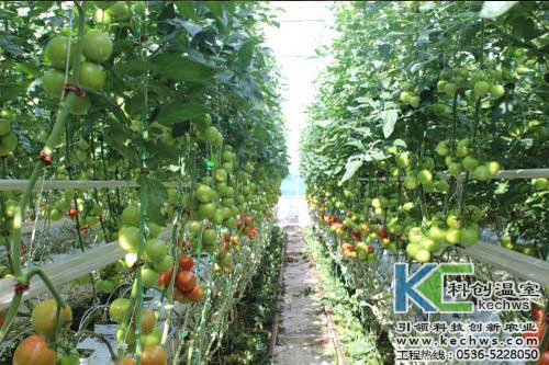 無土栽培，無土栽培技術，無土栽培設備