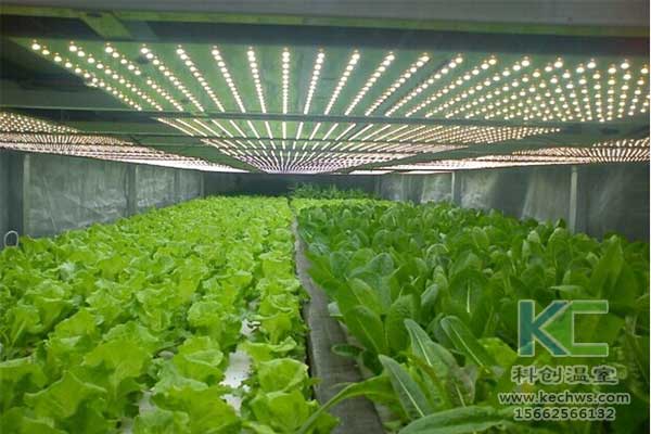 無土栽培、無土栽培基質(zhì)