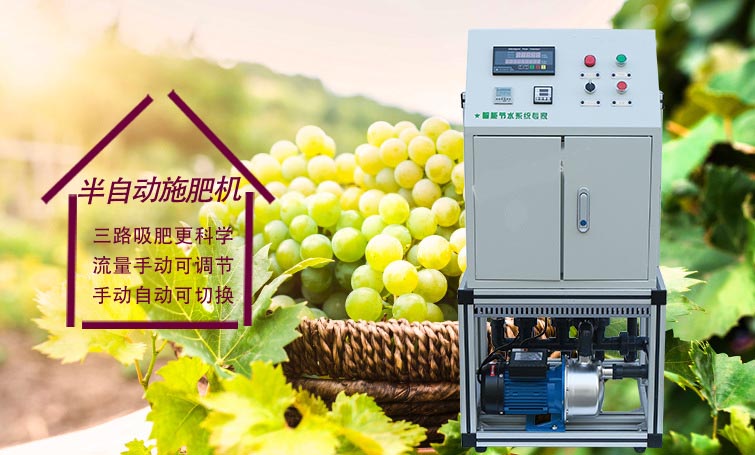 無土栽培,無土栽培技術(shù),無土栽培設(shè)備