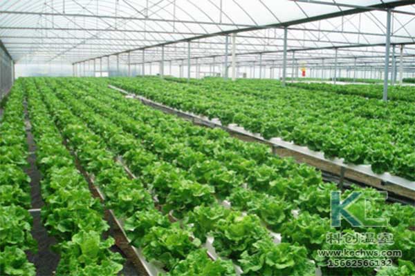 無土栽培，無土栽培技術，無土栽培設備