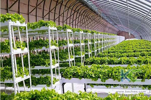 無土栽培，無土栽培技術(shù)，無土栽培設(shè)備
