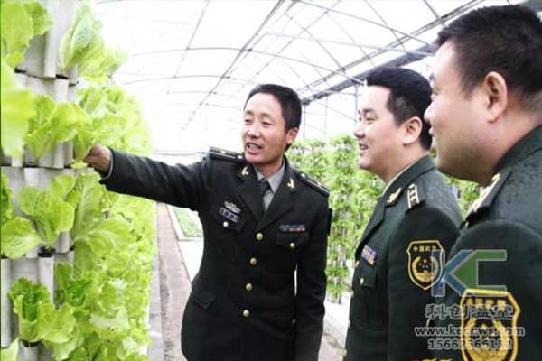 無土栽培，無土栽培技術