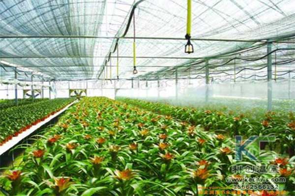 無土栽培，無土栽培技術，無土栽培設備