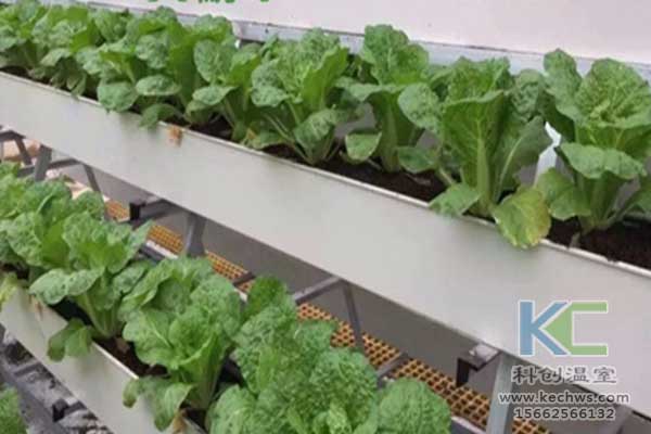無土栽培，無土栽培技術(shù)，無土栽培設(shè)備
