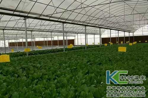 無土栽培，無土栽培技術，無土栽培設備