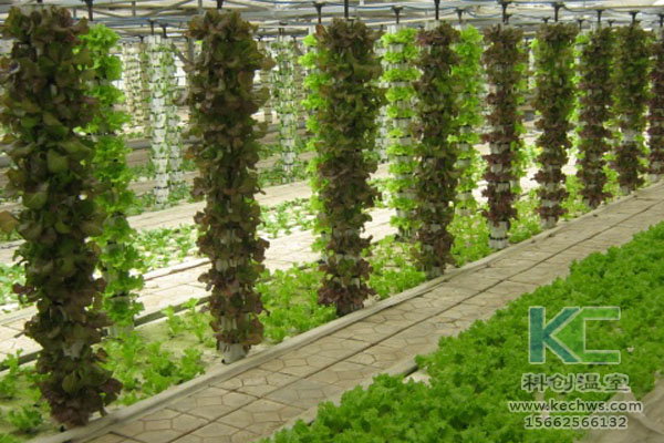 無土栽培，無土栽培技術(shù)，無土栽培設(shè)備