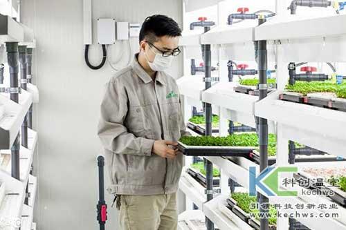 無土栽培，無土栽培技術(shù)，無土栽培設(shè)備