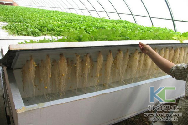 無土栽培，設(shè)備，無土栽培設(shè)備，設(shè)施