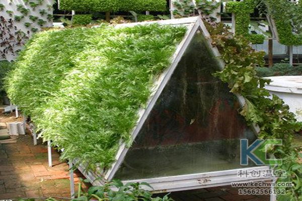 無土栽培技術(shù)，無土栽培設(shè)備，基質(zhì)栽培，溫室大棚