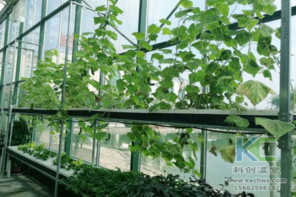 無土栽培技術(shù),無土栽培設(shè)備,無土栽培,溫室大棚