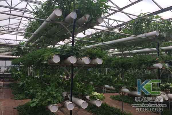 無土栽培技術(shù)，無土栽培設(shè)備，溫室大棚，蔬菜大棚