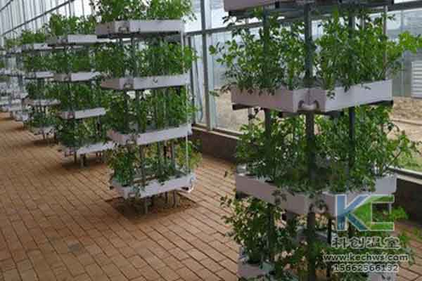 無土栽培技術，無土栽培設備，無土栽培，溫室大棚