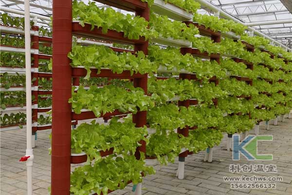 無土栽培技術(shù)，無土栽培設(shè)備，無土栽培，溫室大棚