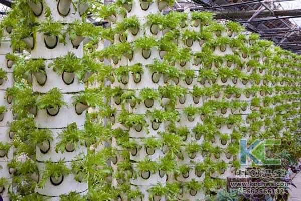 無(wú)土栽培，設(shè)備，無(wú)土栽培設(shè)備，無(wú)土栽培技術(shù)