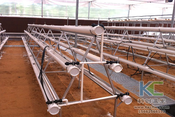 魚菜共生系統(tǒng)，無土栽培技術(shù)，無土栽培，溫室大棚