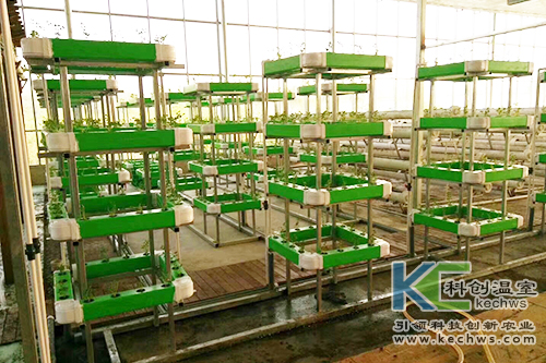 無(wú)土栽培,基質(zhì)栽培,水培