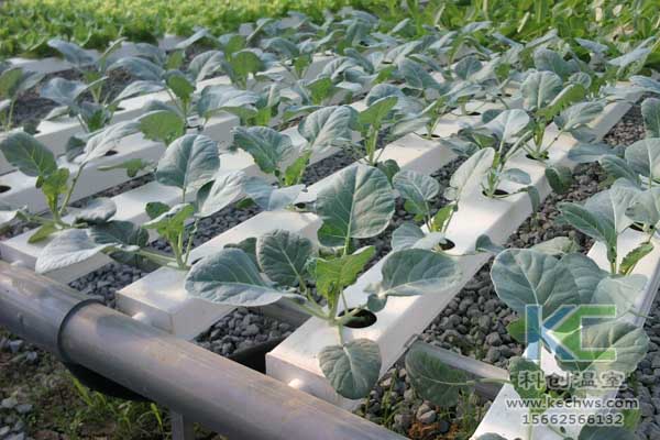 無(wú)土栽培，無(wú)土栽培技術(shù)，無(wú)土栽培設(shè)備