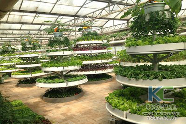 蔬菜無土栽培，無土栽培技術，無土栽培設備，無土栽培