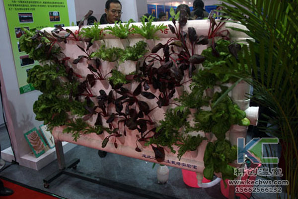 連棟溫室，無土栽培技術，栽培技術，無土栽培