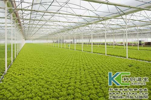 無土栽培，無土栽培技術(shù)，無土栽培設(shè)備
