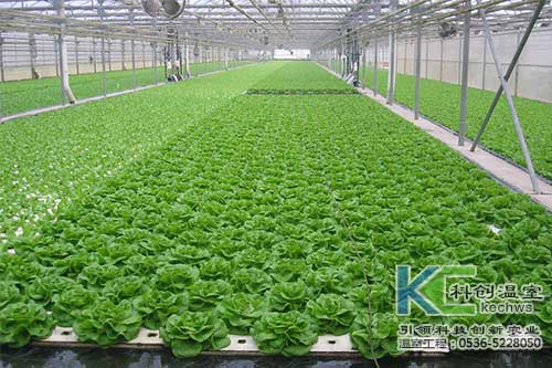 無土栽培，無土栽培技術(shù)，無土栽培設(shè)備