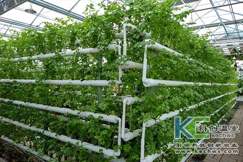 無土栽培，無土栽培技術，無土栽培設備