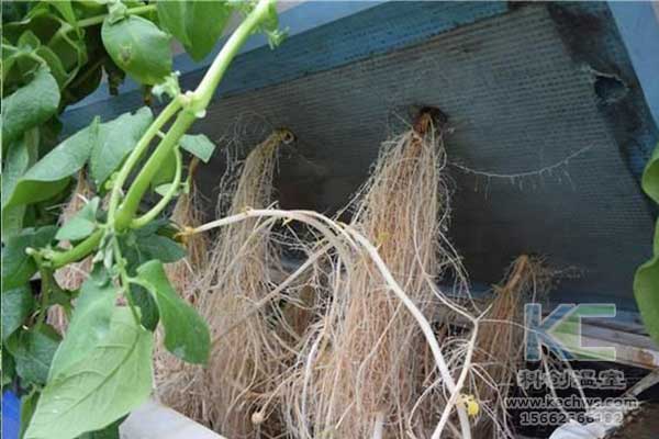 無(wú)土栽培，無(wú)土栽培技術(shù)，無(wú)土栽培設(shè)備