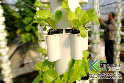 無土栽培，無土栽培技術，無土栽培設備