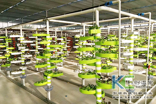 無(wú)土栽培,基質(zhì)栽培,水培