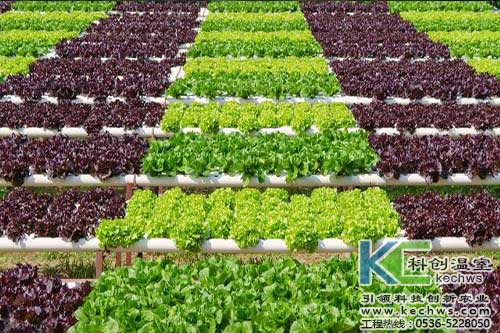 無土栽培，無土栽培技術(shù)，無土栽培設(shè)備