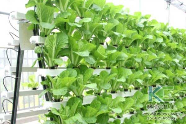 無土栽培，無土栽培技術，無土栽培設備