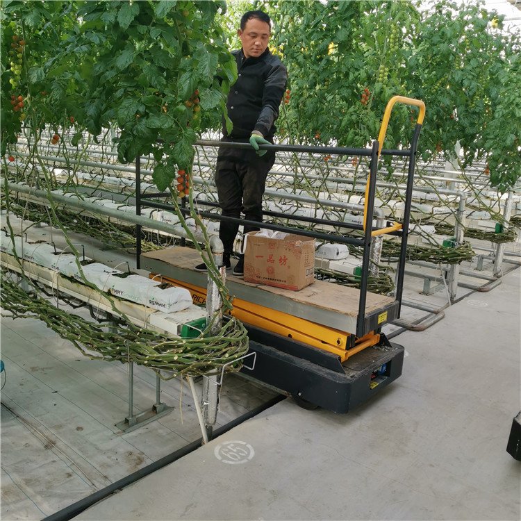 無土栽培，無土栽培技術，無土栽培設備