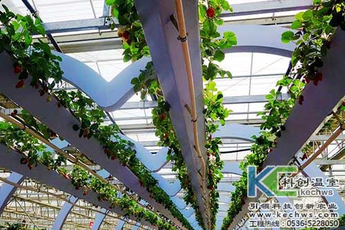 無土栽培，無土栽培技術，無土栽培設備