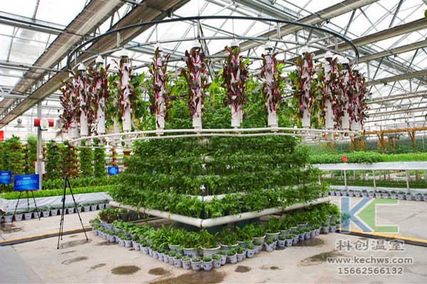 無(wú)土栽培，無(wú)土栽培技術(shù)，無(wú)土栽培設(shè)備