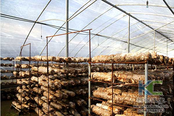 無土栽培，無土栽培技術(shù)