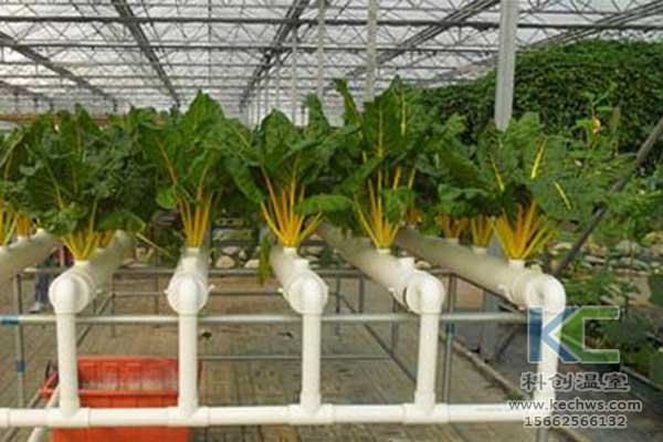 無(wú)土栽培，無(wú)土栽培技術(shù)，無(wú)土栽培設(shè)備
