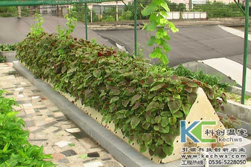 無土栽培，無土栽培技術，無土栽培設備