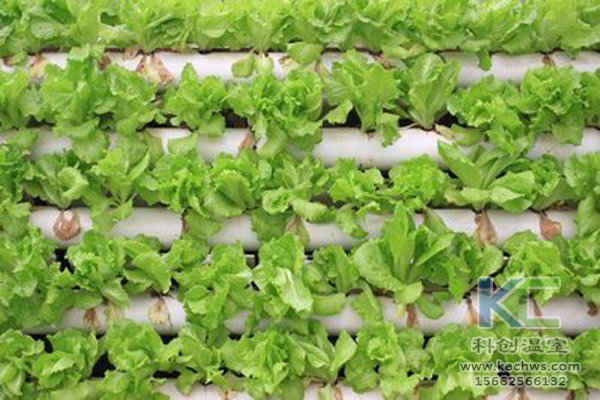 無土栽培，無土栽培技術，無土栽培設備