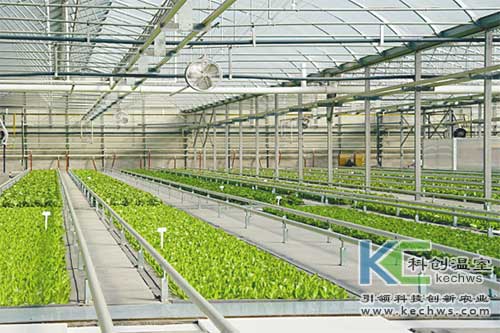無土栽培，無土栽培技術(shù)，無土栽培設(shè)備